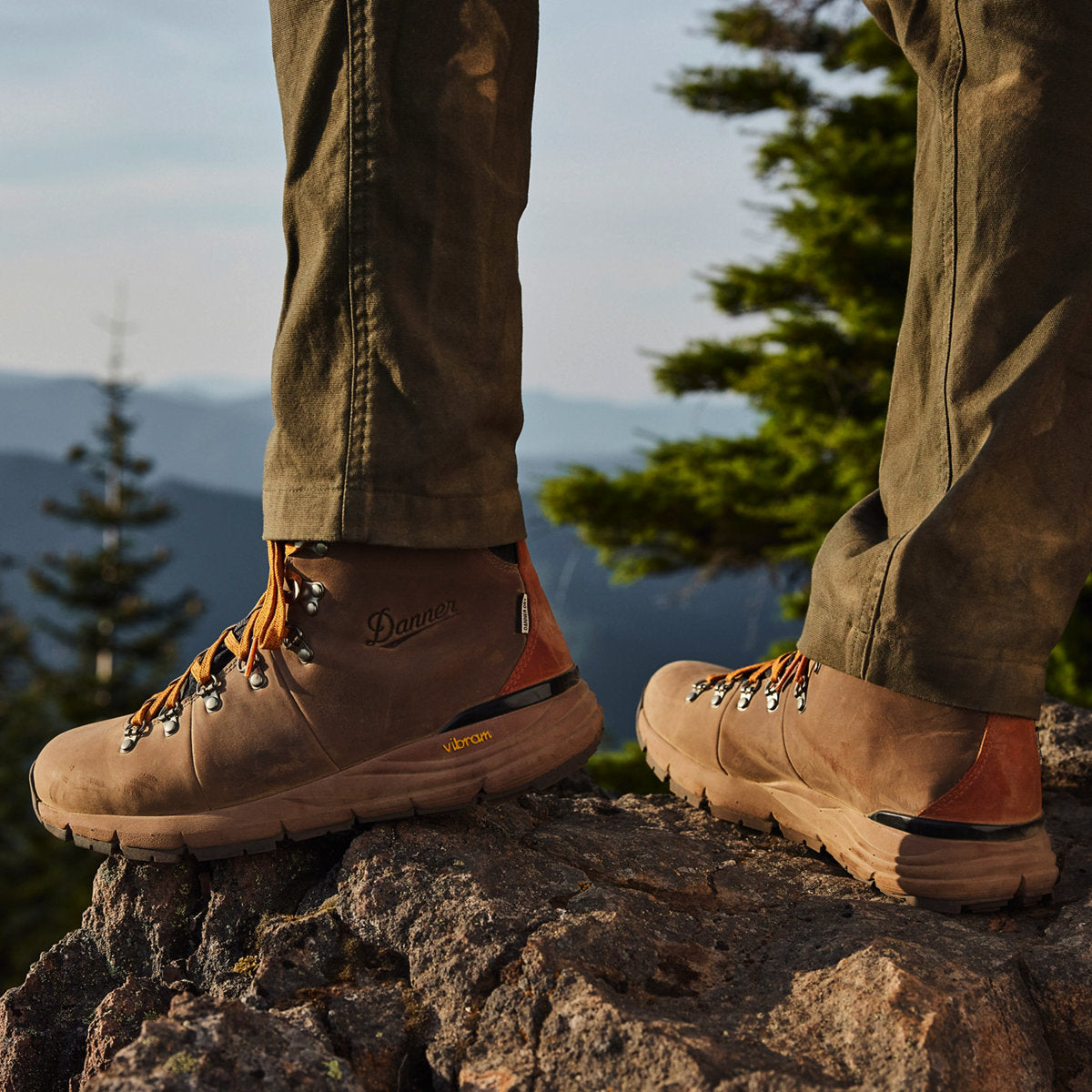 Danner Mountain 600 Mid Hiking Shoes