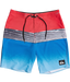 Quiksilver Highline Hold Down Boardshorts