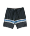 Volcom Quarta Static Young Boys Boardshort